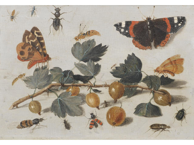 Manner of Jan van Kessel the Elder, 18th Century Butterflies, insects and gooseberries