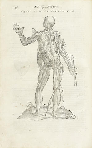 VESALIUS (ANDREAS) Anatomia, 2 parts in 1 vol., [Venice, Giovanni Antonio and Giacomo de Franceschis, 1604]