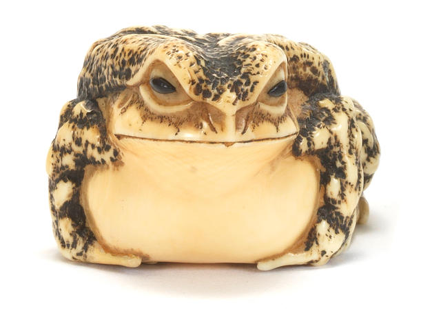 A rare ivory netsuke of a toad By Masakatsu, Ise Province, 19th century
