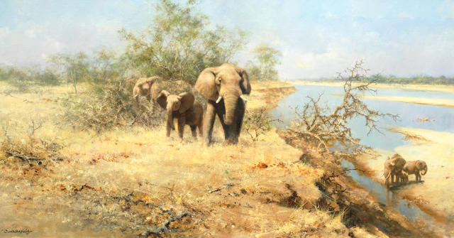 David Shepherd C.B.E. (British, born 1931) Elephants in the bush, Luangwa Valley