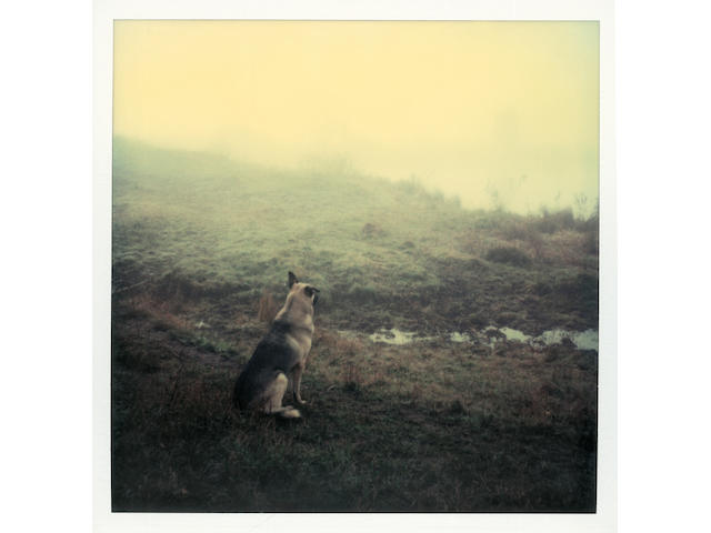 Andrey Tarkovsky (Russian, 1932-1986) A group of 9 Polaroid photographs
