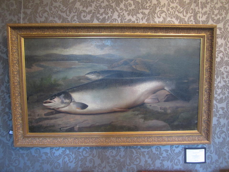 John Russell (British, active 1869-1918) Prize winning Salmon
