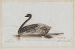 Thumbnail of LEAR (EDWARD) Group of four autograph drawings by Lear, drawn for the family of his childhood friend Fanny Drewitt of Peppering House, Dorset, and her husband George Coombe, including Ye Owly Pussey-catte and a nonsense drawing of Mr and Mrs Crocodile with other watercolours and drawings (one possibly by Lear) in a partly disbound album image 2