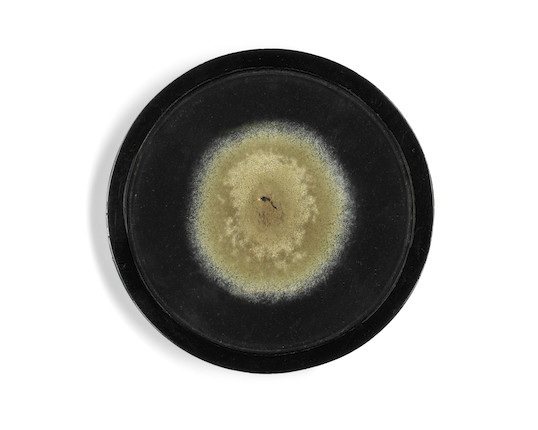 FLEMING (ALEXANDER) Sample of penicillin mould, signed and inscribed by Fleming on the reverse The mould that first made Penicillin/ Alexander Fleming, image 1