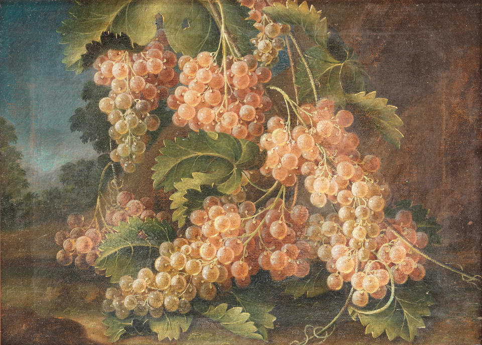 Francesco Malagoli (Modena(?) -died 1776) Bunches of grapes before a landscape  (2)