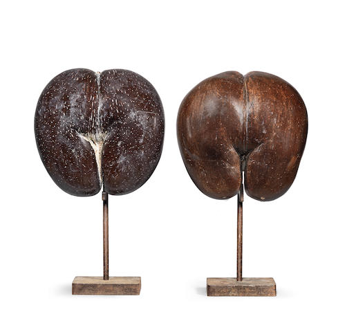 Bonhams : A pair of polished coco de mer nuts (Lodoicea maldivica) on ...