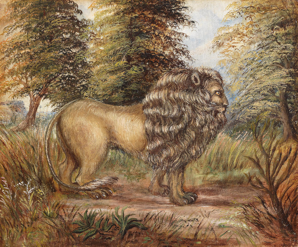 English School, late 19th Century Study of a lion; Study of a tiger, a pair each 25.5 x 30.5cm (10 1/16 x 12in).  ((2))