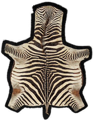 A zebra skin rug