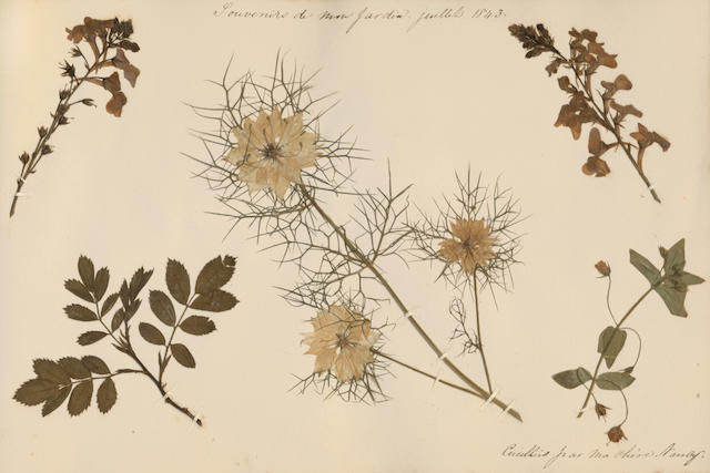 HOUBA (JULIEN) Les ch&#234;nes de l'Am&#233;rique septentrionale en Belgique, FIRST EDITION, [1840s]; and 6 other Herbariums of mounted flowers (10)