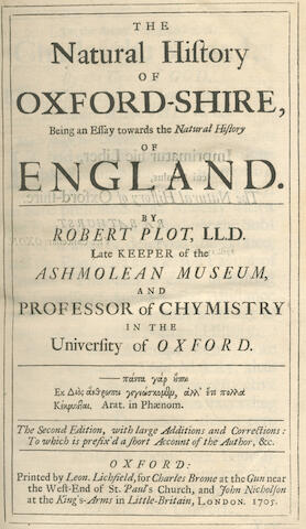 Domestic violence case studies uk Domestic violence case studies uk