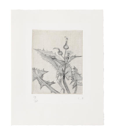 Lucian Freud (1922-2011) Thistle Etching, 1985, on wove paper, signed with initials and numbered 19/30 in pencil (there were also 10 artist's proofs), published by James Kirkman, London and Brooke Alexander, New York, the full sheet, with very pale mount staining, otherwise the printed area in very good condition, framedPlate 172 x 135mm. (6 3/4 x 5 1/4in.); Sheet 310 x 247mm. (12 1/4 x 9 3/4in.)