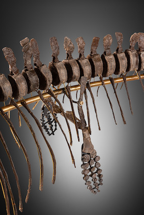 Exceptionnel squelette tridimensionnel d'ichthyosaure francais Exceptional French 3-Dimensional Ichthyosaur Skeleton image 3