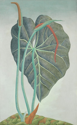 Ithell Colquhoun (British, 1906-1988) Anthurium image 1