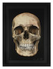 Thumbnail of Damien Hirst (British, born 1965) The Skull Beneath the Skin Screenprint in colours with diamond dust, 2005, on Somerset Satin, signed and numbered 79/155 in white crayon, co-published by Paul Stolper and Other Criteria, London, the full sheet printed to the edges, 843 x 530mm (33 1/4 x 20 7/8in)(I) image 2