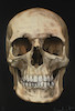 Thumbnail of Damien Hirst (British, born 1965) The Skull Beneath the Skin Screenprint in colours with diamond dust, 2005, on Somerset Satin, signed and numbered 79/155 in white crayon, co-published by Paul Stolper and Other Criteria, London, the full sheet printed to the edges, 843 x 530mm (33 1/4 x 20 7/8in)(I) image 1