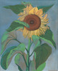 Thumbnail of Ithell Colquhoun (British, 1906-1988) Sunflower 56 x 46 cm. (22 x 18 1/8 in.) image 1