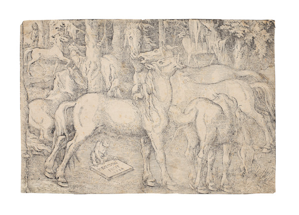 Hans Baldung (German, 1484-1545) Group of Seven Wild Horses and a Monkey Woodcut, 1534, on laid paper, with an indistinct watermark, a later impression, some wormholes and cracks to the block in places, trimmed on or slightly inside the boarderlineSheet 225 x 335mm (8 7/8 x 13 1/4in) image 1