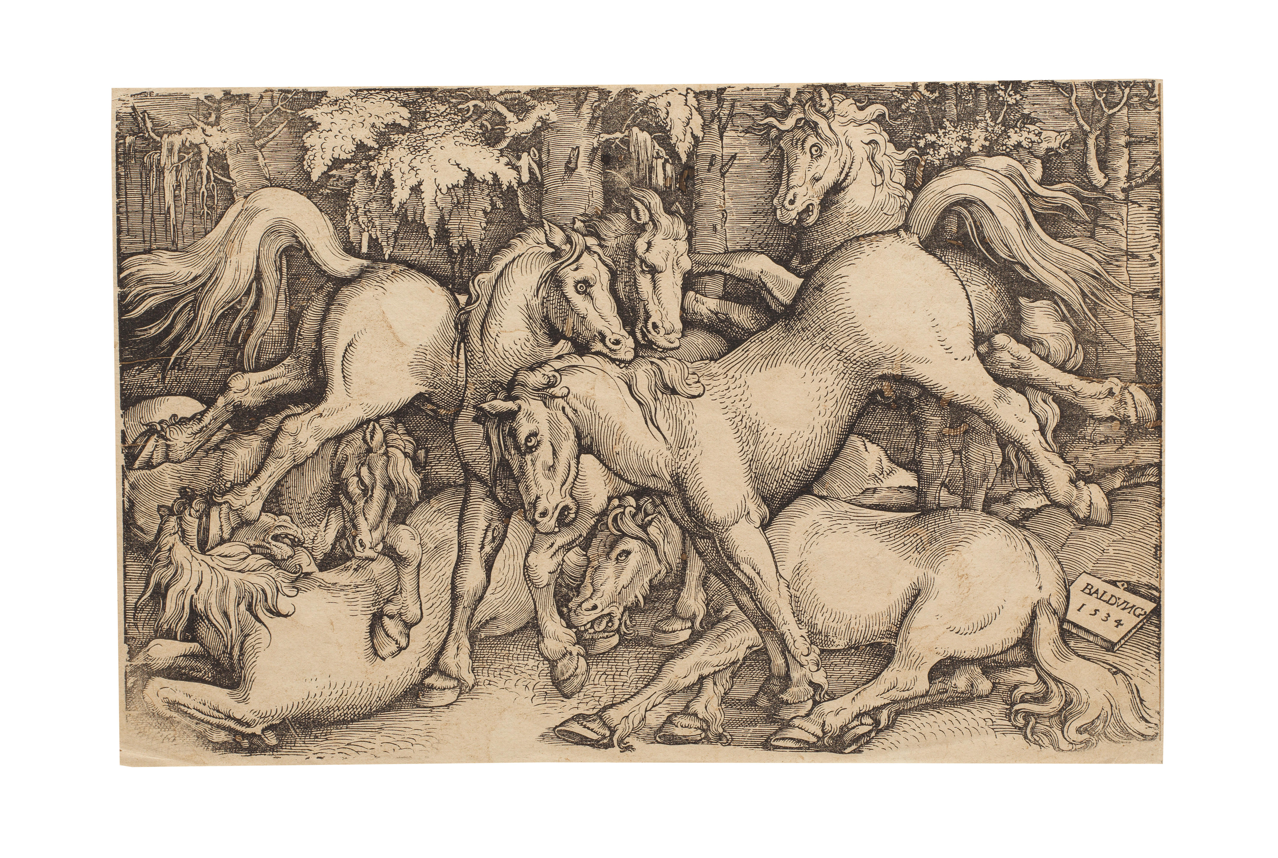 Hans Baldung(German, 1484-1545)Group of Seven Wild Horses