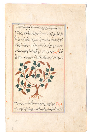 An illustrated leaf from a manuscript relating to the use of plants in the treatment of ailments and their significance in dreams Persia, Isfahan, mid-17th Century image 1