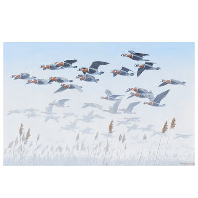 Sir Peter Scott (British, 1909-1989) Red Breasted Geese in Flight
