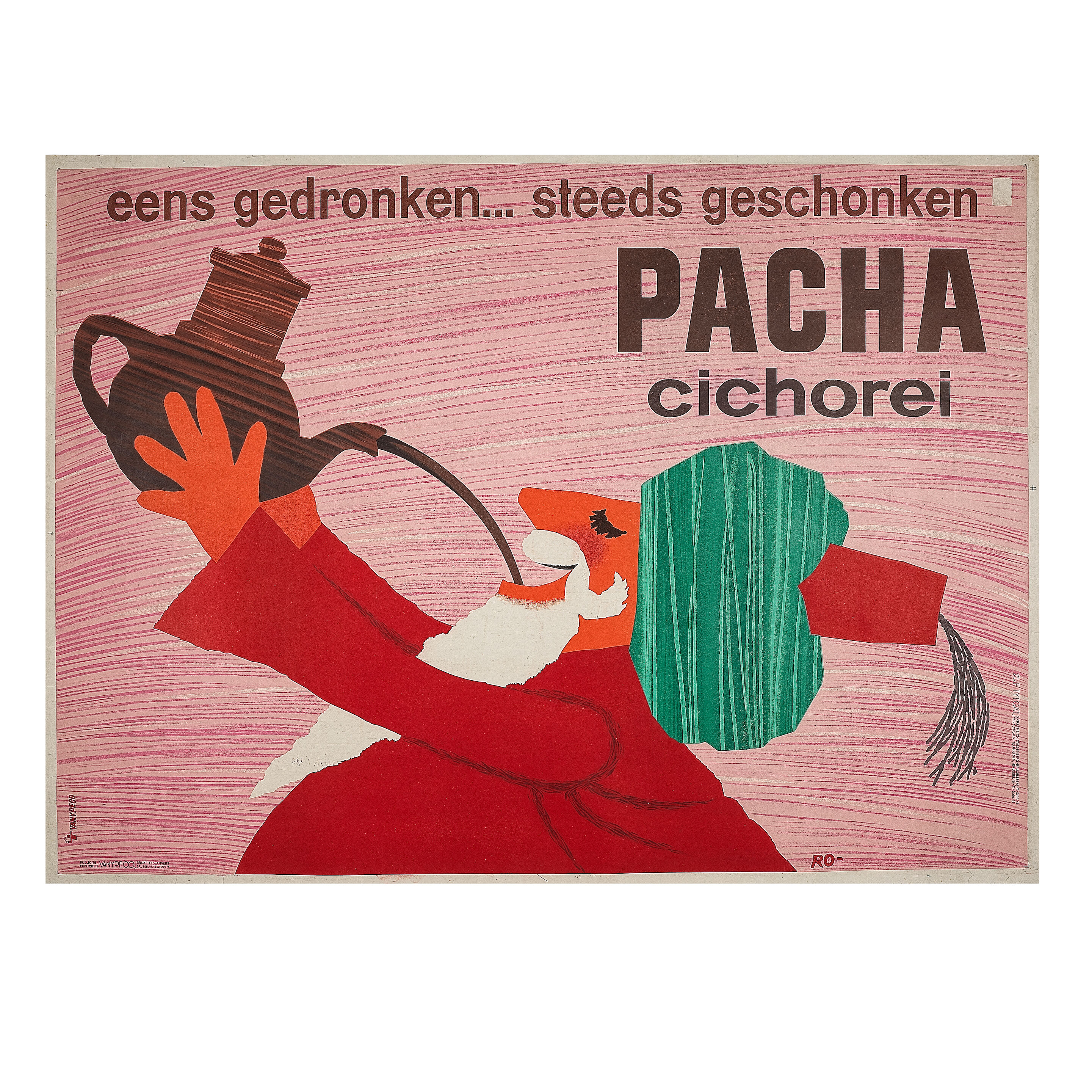 PACHA, cichorei