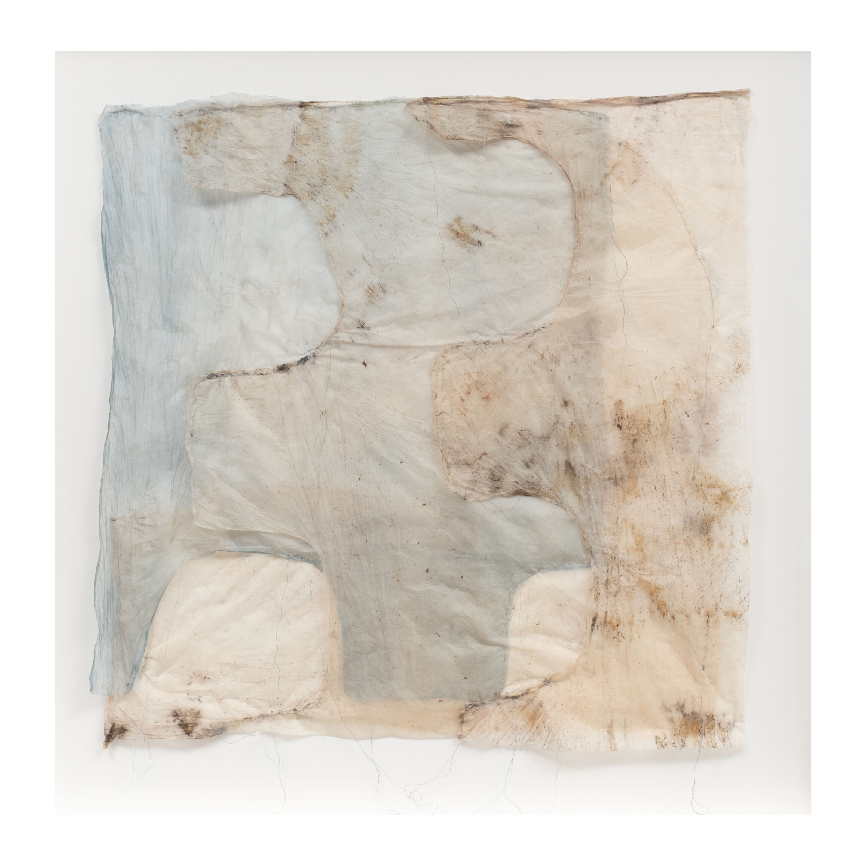 LIZ ELTON Black and Blue Square (3)