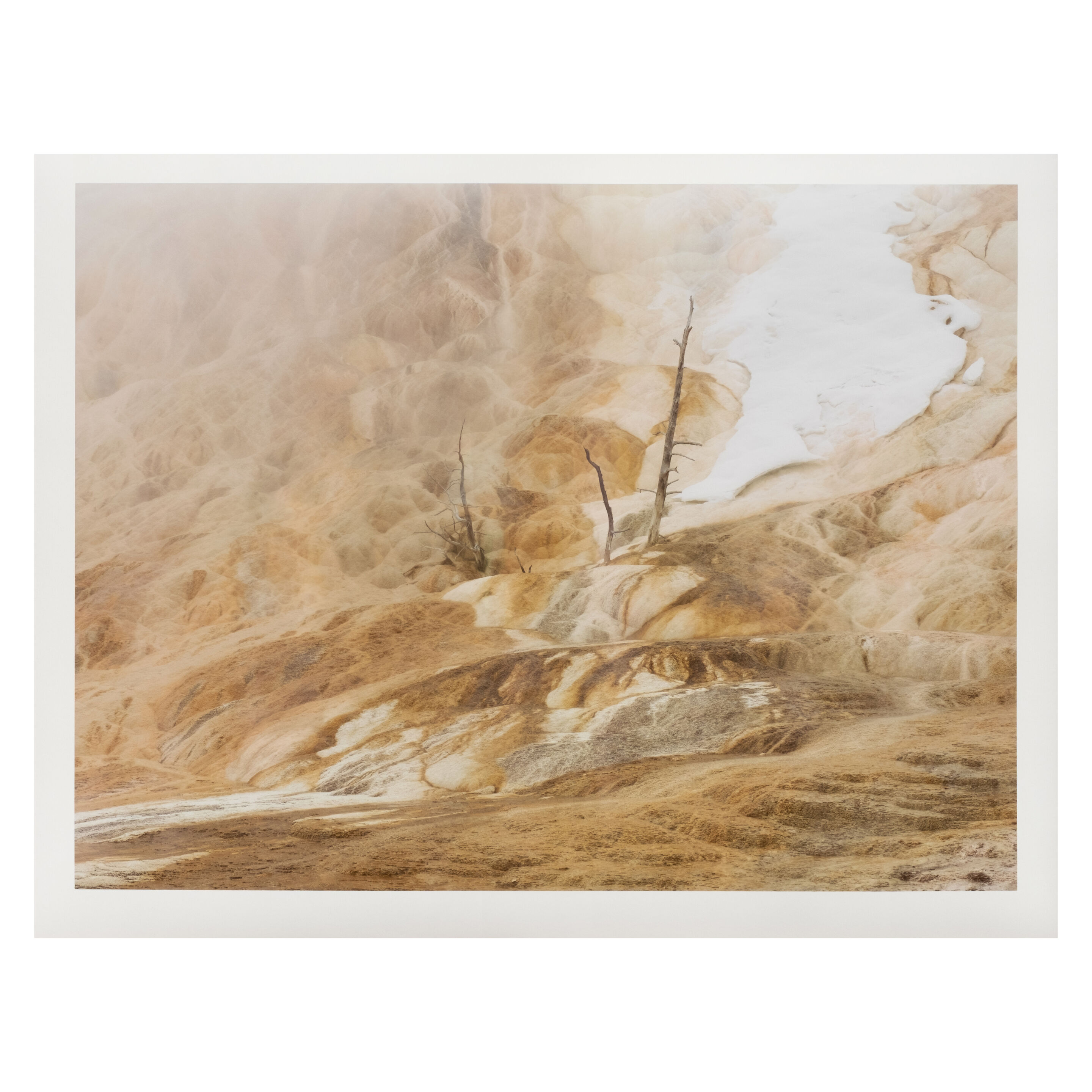 MARK POWER (B. 1959) Yellowstone National Park, Wyoming, USA. 03/2025
