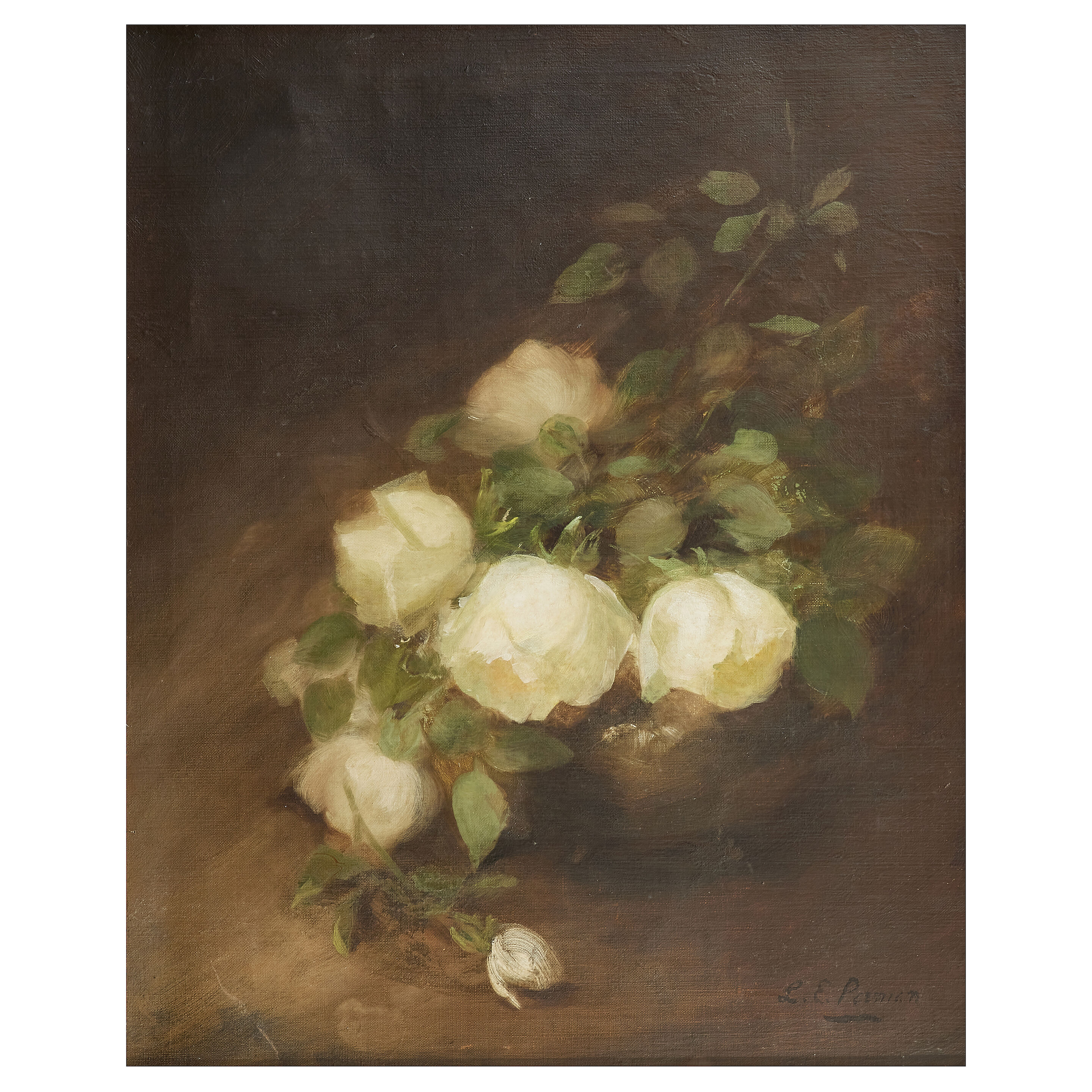 Still life of roses