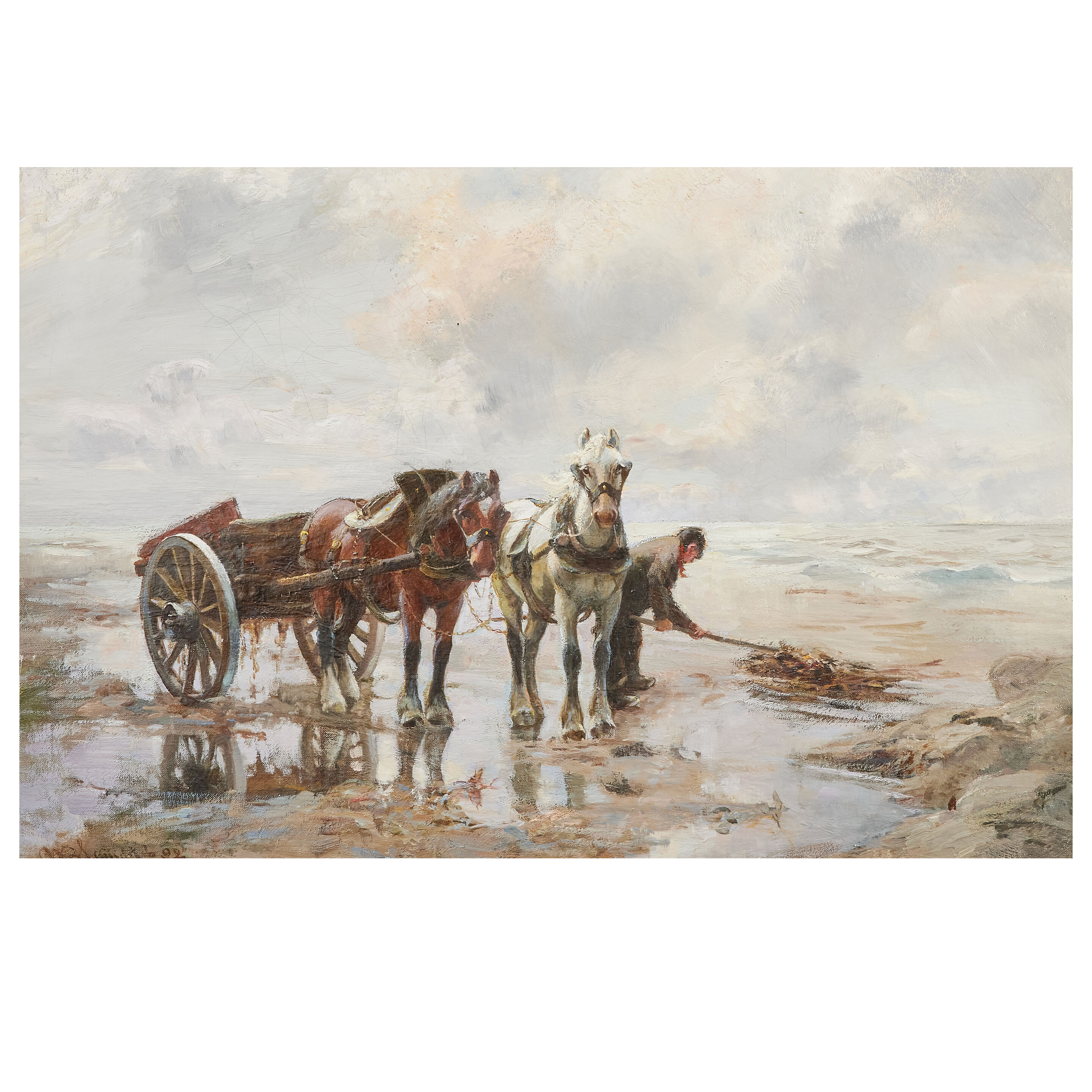 Gathering kelp, Angus