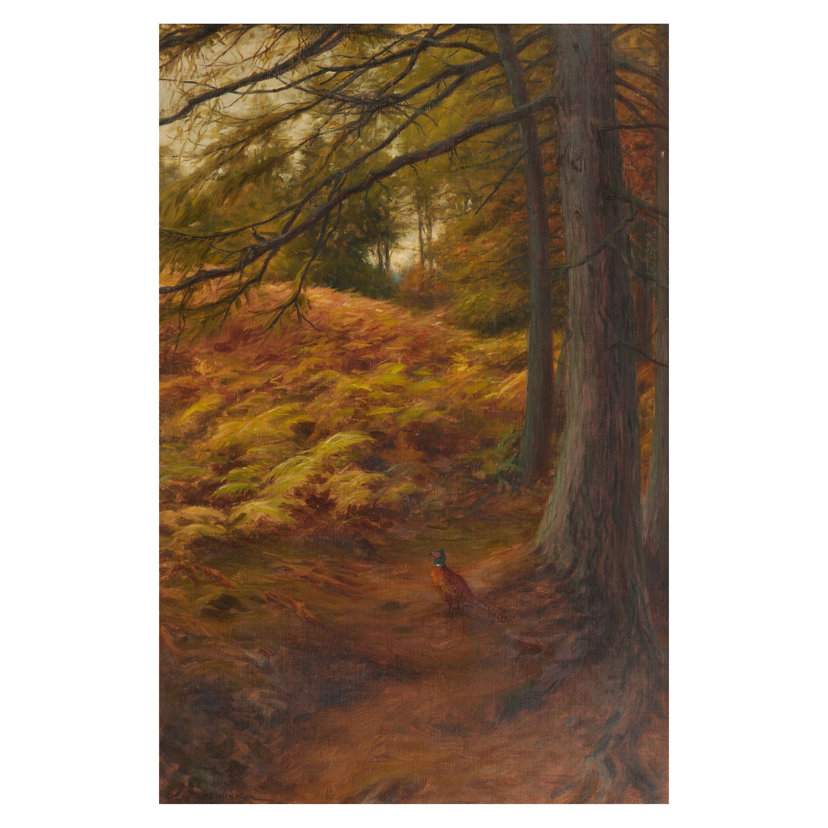 Pheasants in woodland