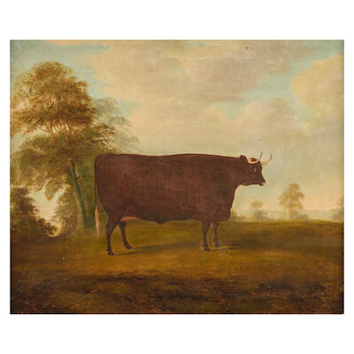 Naïve School, 19th century Longhorned bull